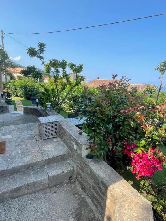 Apartamento Le Cap San-Martino-di-Lota Exterior foto